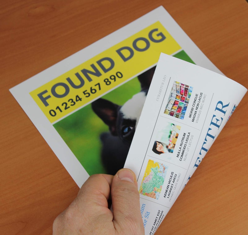 PPD 100 Sheets Inkjet Matte Brochure and Presentation Paper 8.5x11 35lbs 130gsm High Resolution Double Sided Instant Dry and Water-Resistant (PPD-40-100) - Image 2